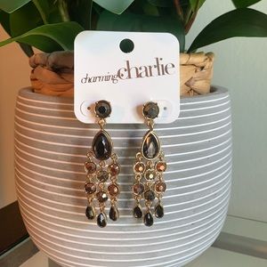 Charming Charlie Fashion Earrings